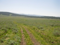 Easy Trail across the  Meadow